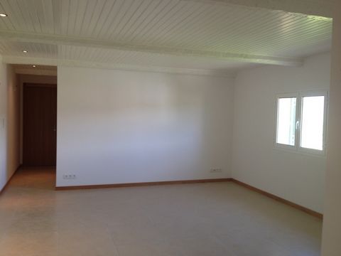 photo no. 1