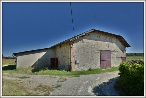 photo no. 2