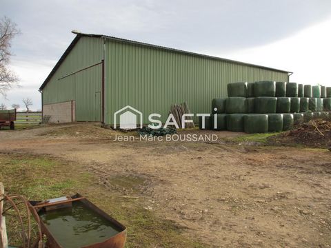 photo no. 8