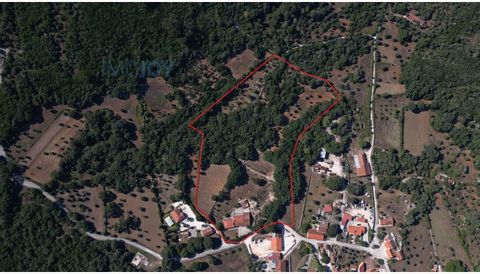 La propriété de 32 116 m2 fait partie du parc naturel des Serras de Aire e Candeeiros. « Terre d'herboristes » avec plus de 160 espèces d'herbes qui poussent spontanément, c'est une région connue pour sa beauté naturelle et sa biodiversité. Célèbre p...