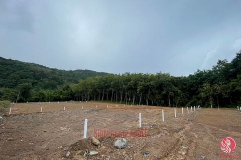 This exceptional land offers breathtaking mountain and river views, perfectly situated in a prime location near Ao Nang, Krabi. The available plots range in size from approximately 854 sqm to 1,973 sqm, with 7 separate plots available, each with Chan...