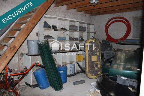 photo no. 2