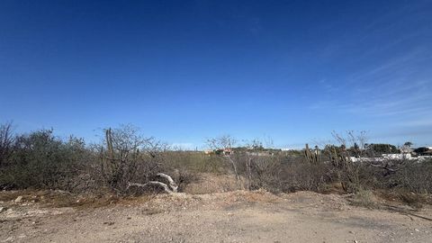 10 367.19 m2 rustic lot located in Lomas de Centenario an area in constant growth. Its large area and strategic location make it an excellent opportunity for investment or development projects. In addition it offers ocean views from a second level ad...