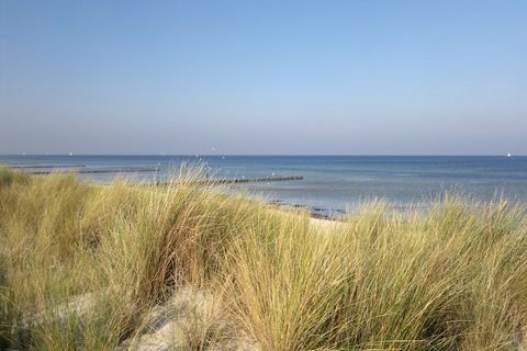 Bienvenue au complexe de bungalows Gänseblümchen! Les 7 bungalows sont situés sur l’île de Poel - en pleine nature. La plage et ses nombreuses installations de sports nautiques se trouvent à environ 2 km.Les bungalows ont une surface habitable de 40 ...