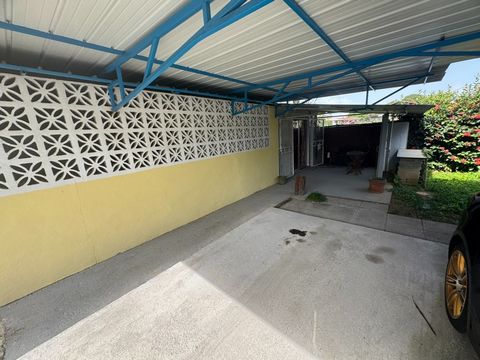 photo no. 2
