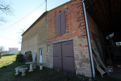 photo no. 6