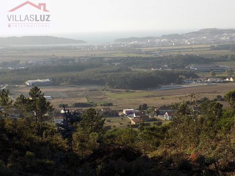 Land with stunning views over the plain, the ocean in the background, and the beautiful São Martinho do Porto bay. Rustic land where you can potentially place a prefabricated house or mobile home up to 200m2. With all kinds of services about 5 minute...