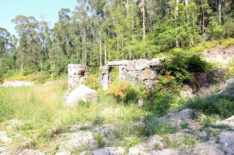 Property ID: ZMPT546407 Ruin a in Escudeiros , Braga with 9635 M2 - Composed of two articles: - Rustic with a total area of 9600 m2 - Possibility of allotment for single homes - Urban house in ruin with a deployment area of the building 35 m2 and gro...
