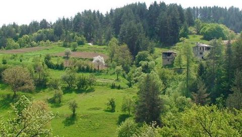 055: Ich verkaufe EIN HAUS IN EINEM DORF 10 KM VON DER STADT VON VARNA. SMOLYAN.BUILT-UP AREA 140SQ.M +80SQ.M BARN, IN EINEM PLOT VON 500SQ.M. ZWEI ETAGEN MIT VIER ZIMMERN PRO ETAGE.TEL ...