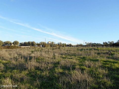 Land located in quiet area with good views in small farm area with electricity nearby. All walled. Good opportunity! Excluded from the SCE, under Article 4 of Decree-Law No. 118/2013 of 20 August.