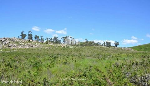 Land for sale, with 8 700 m2 of area, well located, good access and good sun exposure. Fantastic views. Excellent for forest production. Rosém, Marco de Canaveses. Ref.: MC08497 FEATURES: Land Area: 8 700 m2 Area: 8 700 m2 Useful Area: 8 700 m2 Energ...