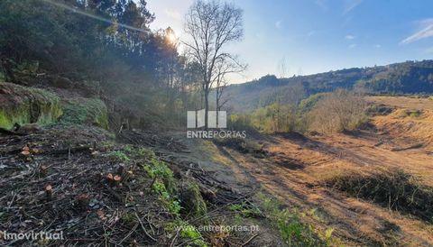 Land for sale with 400 m2 of area, 3 minutes from the Sheep River, in a quiet place and with good access. Great sun exposure. Várzea de Ovelha and Relieved, Marco de Canaveses. Ref.: MC08865 FEATURES: Plot Area: 400 m2 Area: 400 m2 Net Area: 400 m2 E...