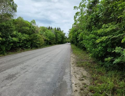 Conveniently located on the Queen's Highway and just over a mile north of the Rock Sound International Airport, this 1.26 acre parcel affords development possibilities with open zoning and 90' on the Highway.