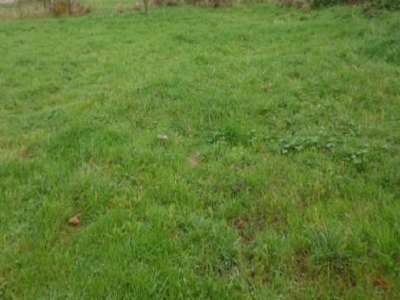 To discover very quickly, this building plot completely serviced of 1051m2 located in Layrac, small quiet village on the countryside side near Villemur sur Tarn and Bessières, flat, no path to create. It is easy to project and what to make a very nic...