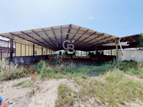 LAZIO - VITERBO - MONTALTO DI CASTRO SHED/WAREHOUSE In Montalto di Castro, near the Aurelia state road, a 1150 m2 warehouse/shed. The shed is classified as C/2 in the land registry, therefore it may be suitable for carrying out various activities or ...