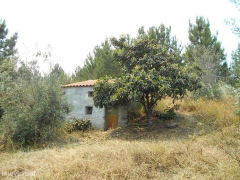 Small farm with good access, located in a quiet area. Composed of cultivated land, olive trees and fruit trees. Highlight for well with nora and construction for storage. * Small farm with good access, located in a quiet area. Composed of farmland, o...