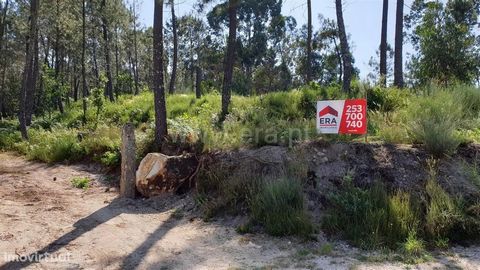 Rustic land with 6,645 m2 in Cabeceiras de Basto Bouça with more than 6.645 m2 with olive grove and eucaliptal. It has good access and good sun exposure. Great business opportunity! Buy with ERA Fafe ERA Fafe opened its doors in 2005 and built an upw...