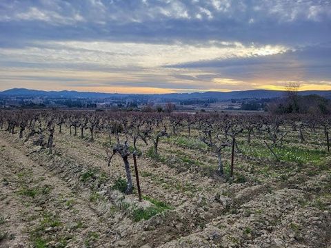 ROCHEFORT DU GARD: In the heights of the village, easily accessible by car, beautiful plot of well-maintained vines (Syrah grape variety) with a surface area of 3918m2, you will appreciate the calm and the view of this place in the middle of nature. ...