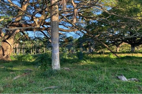 FIRST LAND IN GASPAR HERNANDEZ.   1- LAND OF 372,000 THOUSAND METERS WITH 1 KILOMETER LINE OF BEACH FRONT DEMARCATED, AT THE LEVEL OF TOTALLY FLAT ROAD, WITH A SUPER BEAUTIFUL VIRGIN BEACH. THIS BEAUTIFUL LAND HAS ALL APPROVED TOURISM, ENVIRONMENT, A...