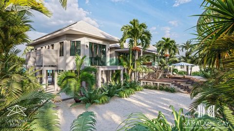 This exclusive beach villa, where modern comfort meets the natural beauty of the Caribbean. Nestled amongst lush palm trees, this property offers a private sanctuary with spectacular ocean views. The newly built villa seamlessly fuses modern architec...