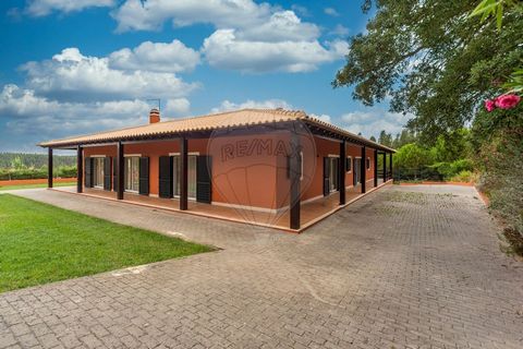 Residence located in the charming parish of São Gregório, in Caldas da Rainha, a city full of stories to tell, this single storey villa is an authentic refuge in the middle of a green landscape, offering 4 bedrooms, suites for maximum comfort, with g...