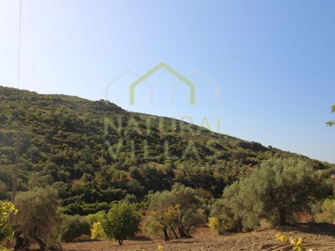 Rustic land in wonderful area in Fialho, Estoi in the Algarve. Rustic property holding a total area of land 4.440m2 being described as land of culture with olive and almond trees. The land has a small slope and has in its vicinity a power supply stat...