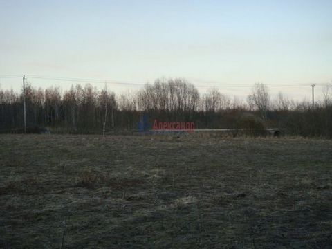 Located in СНТ Светлана массива Радофинниково.