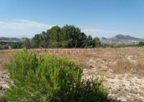 Möchten Sie ein rustikales Grundstück in Sax, Alicante kaufen? Ausgezeichnete Gelegenheit, dieses rustikale Land in der Gemeinde Sax, Provinz Alicante, zu erwerben. Es handelt sich um ein nicht bebaubares Land in der Rubrik Tejera. Es wird von einer ...