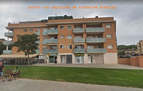 ASSETS IN A SPECIAL SITUATION WITH TENANT, ONLY INVESTORS. Apartment for sale located on Av. Rieral in Lloret de Mar, in the El Molí-El Rieral area. It has a total of 65 useful m² distributed in living room, kitchen, 2 bedrooms and bathroom. 2005 far...