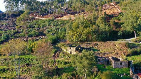 Farm for sale with views over the Douro River, consisting of 3 houses in ruins, inserted in a plot of land with an area of 20.961 m2, and solar orientation to the South and East. Located less than 10 meters from the National Road 108, 5Km from the Co...