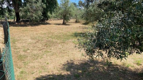 Rustic land with a total area of 670m2. Fertile land, with olive trees and a well. Inserted in the urban area of the village of Soalheira, this land is in a privileged location, approximately 100 meters from the main road. Location 20 minutes by car ...
