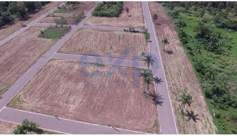 Pinar del Jara Residential Project It is a solar project that is strategically located at the entrance to the city of La Vega, in the area that has shown the most growth in this city. But in addition, you can acquire your plot with everything and hou...