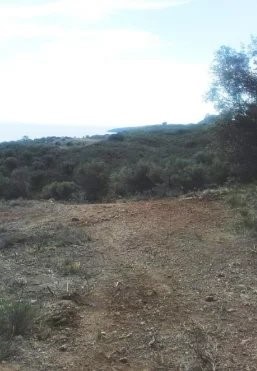 Land with olive trees for sale in beautiful Tolo- Nafplio, 6.756 sqm, hidden from public eye suitable for all purposes. Possibility to built 1 house with 210 sqm or two houses each 105 sqm. Big street, sea view, 5 min for different crystal blue sea a...