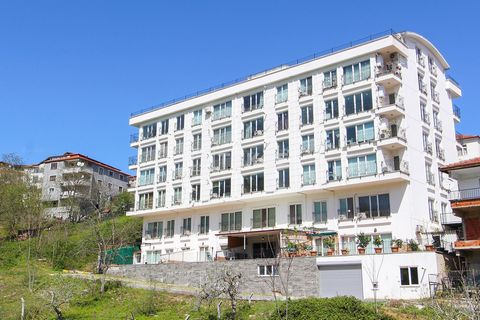 Furnished Duplex Apartment with 2 Bedrooms in Yalova Termal The apartment is located in Yalova, Termal. Yalva is a city located in the Marmara Region of Turkey. The city is highlighted by its easy access opportunities and proximity to Istanbul, Bursa...