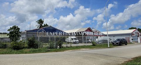 EXCLUSIVITE EXPERTIA IMMOBILIER. Dans la zone industrielle de PARIACABO à Kourou, proche du Port Spatial Guyanais.Ensemble immobilier de 1 216m2 sur un terrain en angle de 2 744m2. Il est composé de 3 batiments : 1. Un local commercial de 400m2, libr...