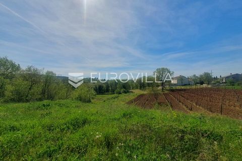 In beautiful Motovunski Novaki there is a beautiful building plot with a vineyard. The plot has all the necessary infrastructure. Holiday houses have been built around the land. This is an ideal opportunity to invest in a family home with a spacious ...