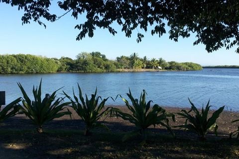 Lot for Sale in San Blas Bahia de Banderas Nayarit Land of 47 000 m2 located in San Blas Nayarit. An area on the riverbank in front of an island a paradisiacal place mangrove area the land does not have mangrove special for ecological tourism develop...