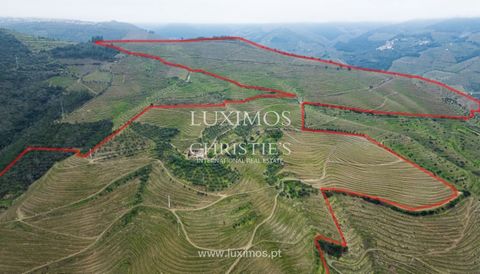 Située à Guiães, Vila Real, au cœur de la région délimitée du Douro, cette quinta bénéficie d'un cadre idéal et de superbes vues sur les vallées et les collines couvertes de vignobles sur les deux rives du Douro. Elle possède un vignoble officiel Doc...