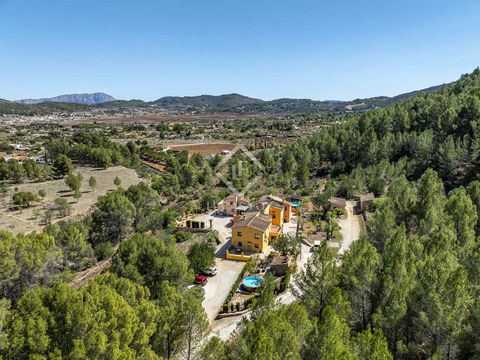 This is a rare property, set on a 11,100m2 plot, and located at the foot of the Bernia Mountain, within walking distance of the beautiful village of Jalon. This area is very popular with nature lovers, hikers and cyclists and is part of the Vall de P...