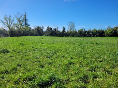 Castelnau montratier: Discover this magnificent building land located in a quiet and sought-after environment. With its 1000m², it offers a vast space to realize the project of your dreams, whether for a family home, a rental investment or a commerci...