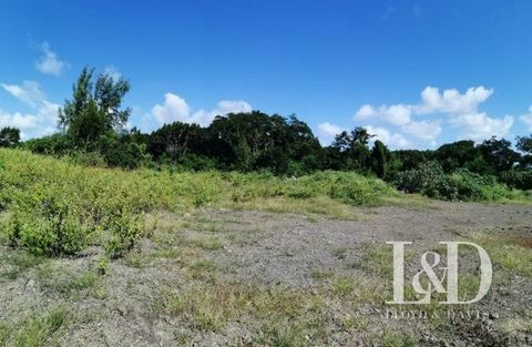 Exclusively for you, I offer you this agricultural land to seize! Located in a rapidly expanding area, a request for a change of destination is in progress. Attractive price. Feel free to call me for more information or for a viewing. Contact: Martin...