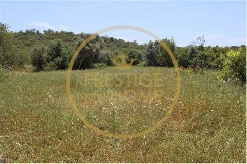 Terreno rústico con 600 m2, situado en Campina, Boliqueime a 10 minutos de Loulé y Quarteira y 5 de Boliqueime. El terreno es fértil, plano, sin piedras, tiene pozo de agua, cisterna y espacio de almacenamiento, buena exposición al sol y con fácil ac...