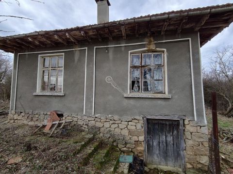 Imoti Tarnovgrad bietet Ihnen ein Haus im Dorf Chakali, nur 10 km östlich der Stadt Elena gelegen. Das Anwesen befindet sich an einer asphaltierten Straße und ist ganzjährig zugänglich. Das Haus ist einstöckig und darunter befindet sich ein Keller mi...