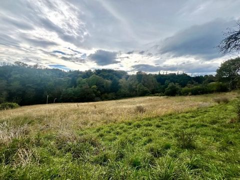 Nutzen Sie noch heute die einmalige Gelegenheit und sichern Sie sich dieses attraktive Baugrundstück in der idyllischen Lage in der Nähe von Leibnitz. Das sonnige Grundstück besticht durch seine süd-west Lage und profitiert von einer leichten Hangnei...