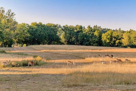 In der Nähe einer kleinen Stadt im regionalen Naturpark Périgord Limousin liegt dieser Weiler mit 16 Gétees, der auf traditionelle Weise eingerichtet ist. In einem 30 ha großen Landschafts- und Blumenpark gelegen, ist es ideal für Familien mit Kinder...