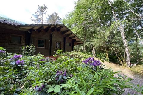 The chalet in La Bresse has 3 bedrooms and capacity for 6 persons. Accommodation of 65 m² homely and is spacious, It has mountain and garden. The property is located 500 m river, 1 km lake, 2 km city, 2 km supermarket, 4 km ski resort and it is locat...