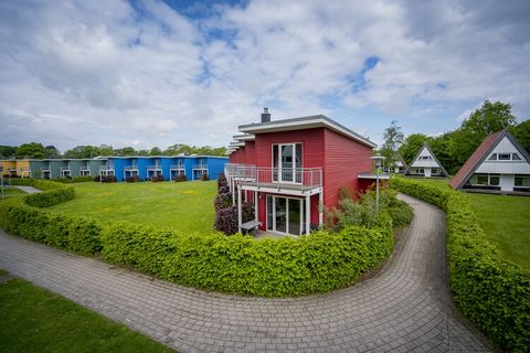 Moderne, nieuwe rijtjeshuizen in de badplaats Damp aan de Oostzee - op slechts 150 meter van het strand! Niet alleen de brede zandstranden en de jachthaven met cafés en restaurants zijn zeer aantrekkelijk voor gezinnen met kinderen, maar ook de vele ...