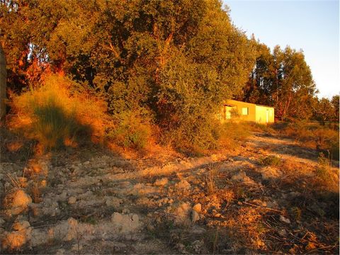 Excellent property with a total area of ​​43250 m2, with stunning views and very fertile soil for cultivation. It has several fruit trees, namely orange trees, apple trees and pear trees and several vineyards, numerous cork oaks, some eucalyptus and ...