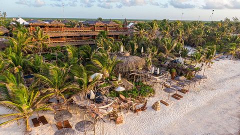 • Exclusive beach front location in Tulum.  • 1 Beach Club restaurant with swimming pool.  • Unique locations (jungle, cenote).  • Security and permits guaranteed.  • VIP entrance to exclusive events in Tulum Investment Summary: Currently, the hotel ...