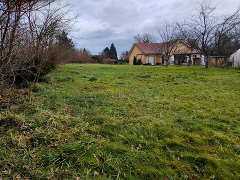 photo no. 2